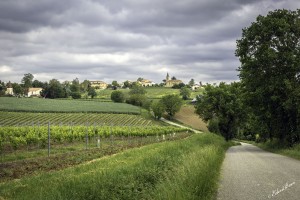Frankrijk, Larroque-sur-l'Osse.
