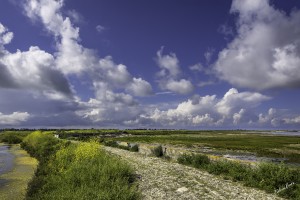 Frankrijk, Île de Ré.